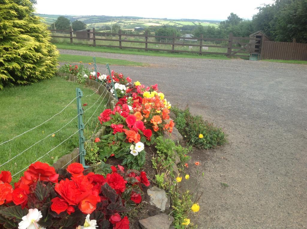 Bradridge Farm Bed & Breakfast Launceston Exterior photo